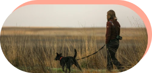 persona paseando un perro en la pradera